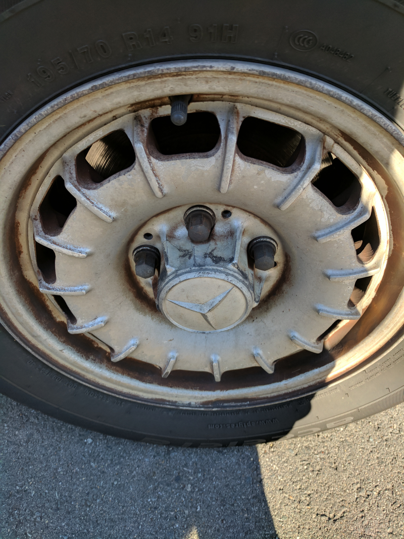 Illustration for article titled Brought my wheels back today